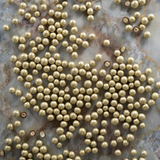 Milk Choc Gianduja coated Hazelnuts 150g
